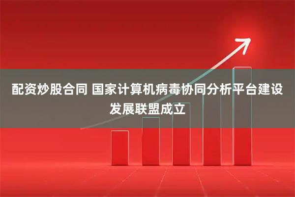 配资炒股合同 国家计算机病毒协同分析平台建设发展联盟成立