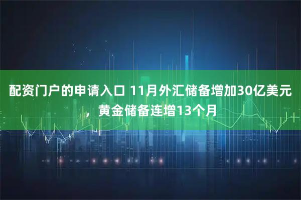 配资门户的申请入口 11月外汇储备增加30亿美元，黄金储备连增13个月