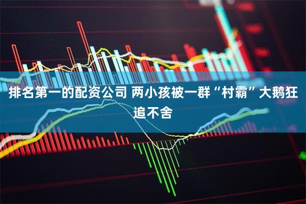 排名第一的配资公司 两小孩被一群“村霸”大鹅狂追不舍